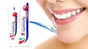 Dxn Ganozhi Plus Toothpaste